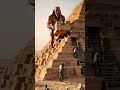 هوش مصنوعی مصر باستان 