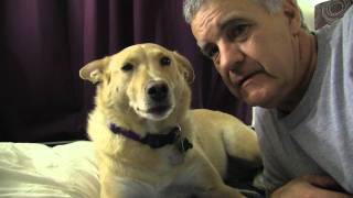 The Adventures of Mulligan and Me - Episode 05