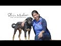 Shirin Merchant Dog Training & Behaviour Shirin Merchant Dog Training & Behaviour