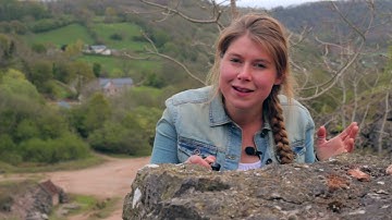 How Soil is Created: The Succession of Life in the Evolution of soil