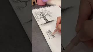 How To Sketch A Tree Trunk
