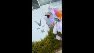 Shockpuppet Visits First Ever Vinfast Ev Dealership In Bay Area Ca.