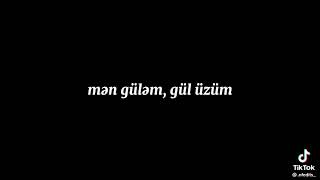 Hamıdan gözel menem ~Aydan