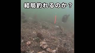 フナムシは釣れるのか？