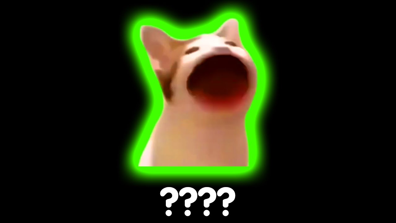 10 "Pop Cat" Sound Variations in 54 Seconds