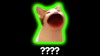 10 Pop Cat Sound Variations In 54 Seconds