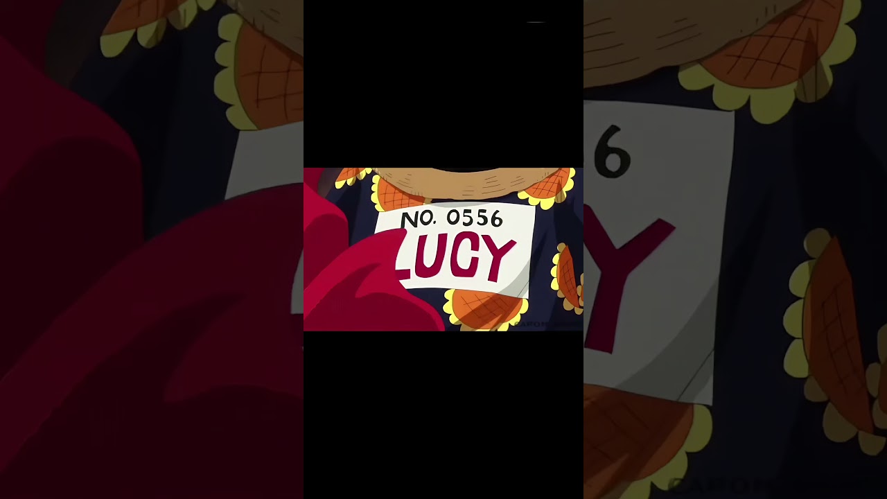 Lucy ja niga🗿...ONE PIECE 