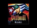 Pitbull Dammit Man CLEAN Pitbull Dammit Man CLEAN