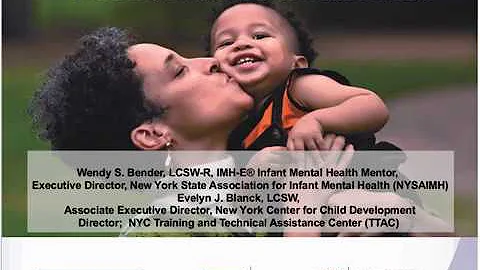 Part II Best Practices in Training and Treatment of Infant Early Childhood Mental Health Concerns