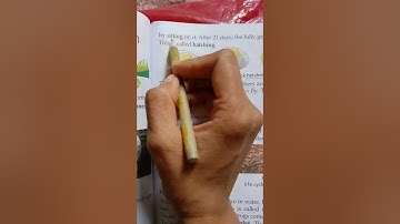 Class IV EVS Chapter 17 Reproduction in Animals