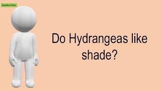 Do Hydrangeas Like Shade? Do Hydrangeas Like Sun Or Shade