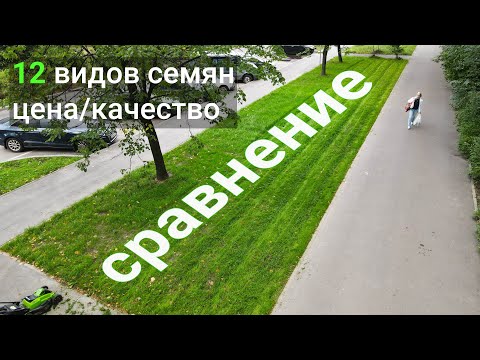 Video: Lawn Grass DLF: газон уруктары. Кайсы аралашма сизге эң ылайыктуу? Сын -пикирлер