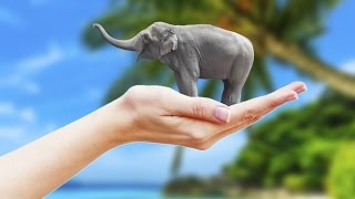 Elephant on palm using Superimpose app screenshot 2