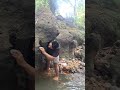 jade there are animals #shortvideo #nature #animals #fyp #shortvideo