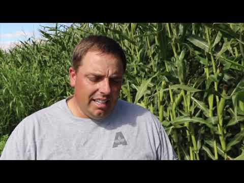 Canyon County Farm Family 2019