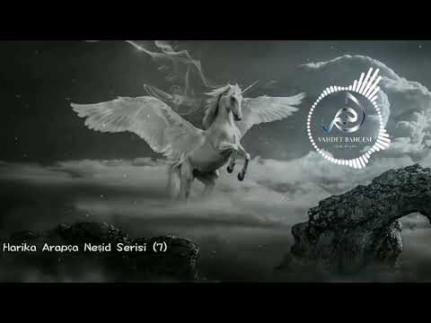 Harika Arapça Neşid Serisi (7) Beautiful Arabic Nasheed 2021