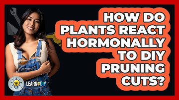 How Do Plants React Hormonally To DIY Pruning Cuts? - LearnToDIY360.com
