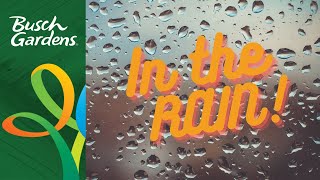 Busch Gardens in the Rain - Hurricane Season!  Should YOU go in THE RAIN??