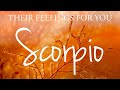 Scorpio love tarot  someone who does not know what to say to you scorpio  its crucial