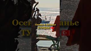 Осень в Аланье, Турция 🇹🇷 Про погоду #аланья #алания #турция #море #азан #мечеть