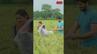 Zataan By Ali Haider Hadi | Laddumusic #punjabi #punjabimovie #lahore #punjabisongstatus