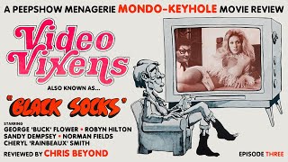 Video Vixens (1974) Movie Review