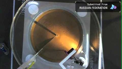 Web Lab: My Sketchbot Portrait