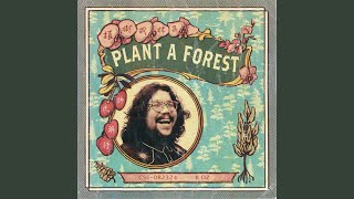 Plant A Forest