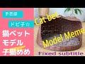 猫ベット　モデル 子猫めめ