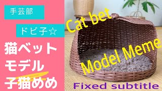 猫ベット　モデル 子猫めめ