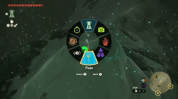 [DAY 574] of finding one korok seed in TotK everyday until we get them all