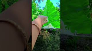 #hindu #subscribe #shortvideo