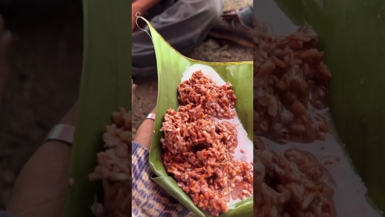 Jhum Cultivation In Assam 