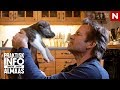 Praktisk info | Jon er på utkikk etter en hund | discovery+ Norge