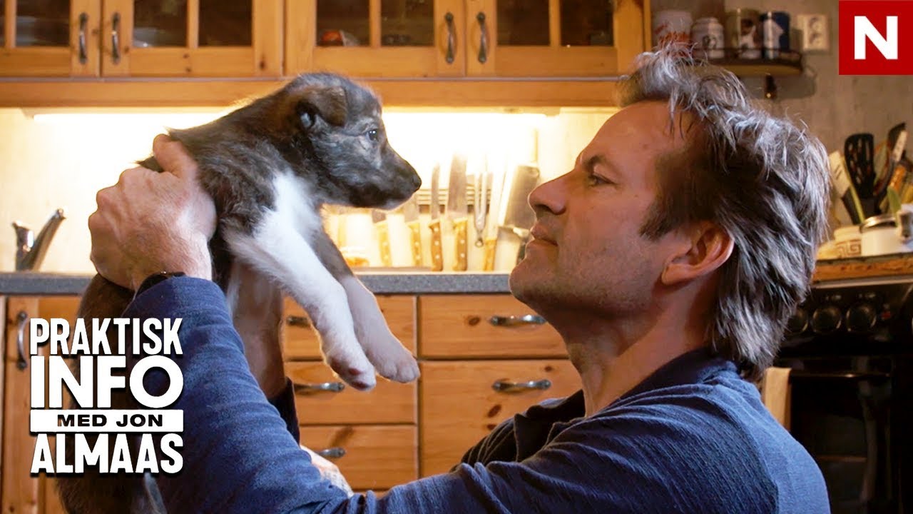 Praktisk info | Jon er på utkikk etter en hund | discovery+ Norge