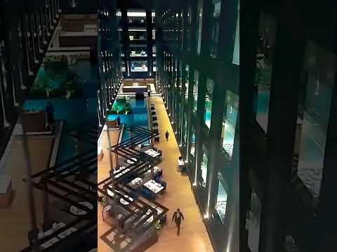 essentia hotel Indore❤💜