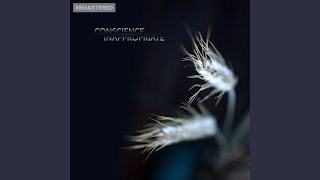 Reality Is An Illusion (2022 Remastered Version)