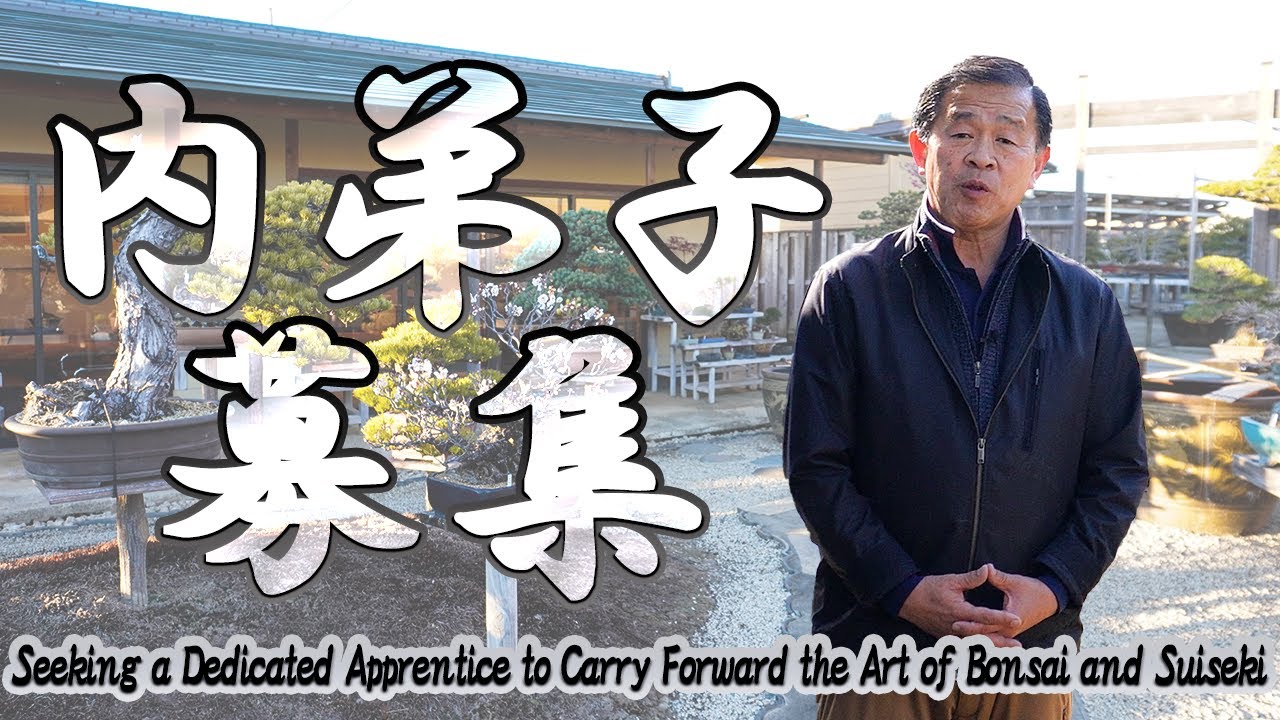 Seeking a Dedicated Apprentice to Carry Forward the Art of Bonsai