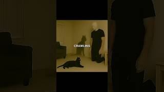 If Your Cat's Shadow Moves without it, Then don't step on it... | #scary #backrooms #creepypasta