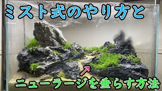 ミスト式で立ち上げる水草水槽 ニューラージパールグラスの垂らし方 コンテスト向けジオラマ水景をつくるpart2 アクアリウム Youtube ミスト式で立ち上げる水草水槽 ニューラージパールグラスの垂らし方 コンテスト向けジオラマ水景をつくるpart2 アクアリウム Youtube