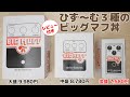 ひず〜む3種のビッグマフ丼（Original・Little・Nano）徹底比較レビュー【ていばん！】