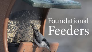 Foundational Bird Feeder