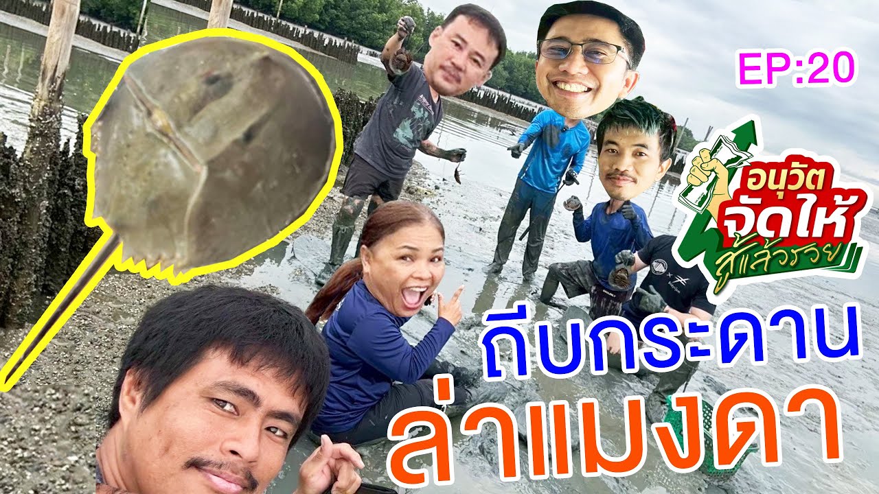 แมงดาทะเล