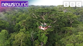 The school high up in the Amazon treetops| Newsround