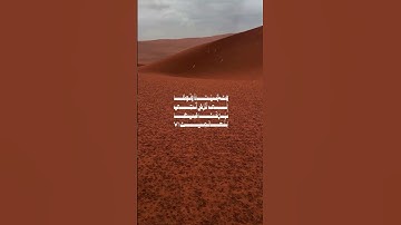 (قُلْنَا يَا نَارُ كُونِي بَرْدًا وَسَلَامًا عَلَىٰ إِبْرَاهِيمَ) محمد أيوب - سورة الأنبياء #قرآن