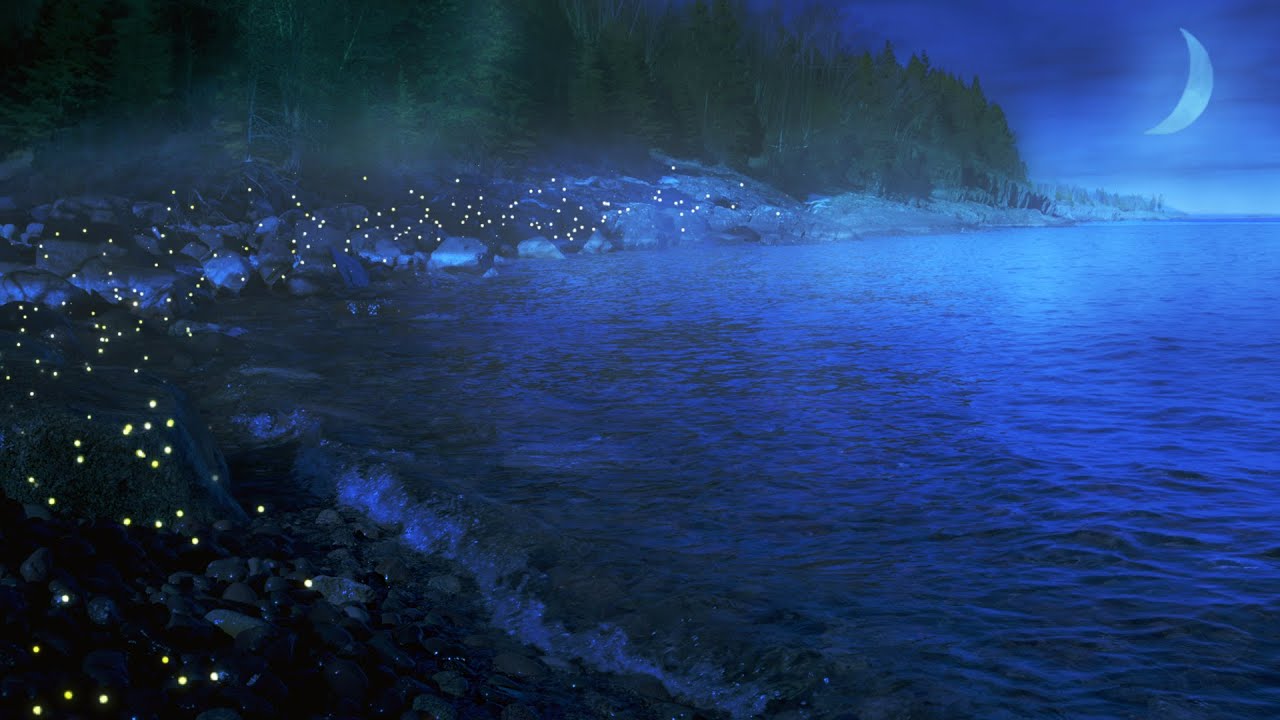 Enchanted Lake Water Sounds for Sleep