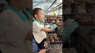 용인 아이와 가볼만한곳 표고버섯 수확, 아쿠아포닉스 관람 및 물고기 먹이주기 #은하농장 #용인가볼만한곳 #용인실내체험 #용인은하농장 #용인버섯체험 #협찬