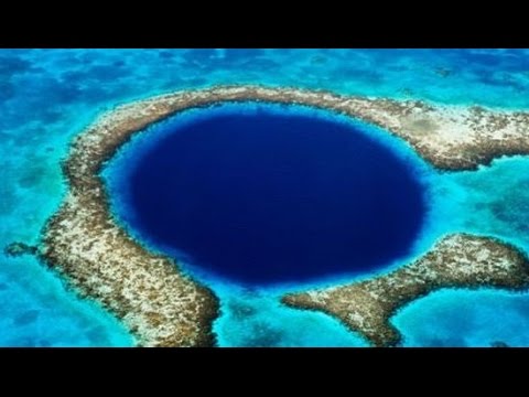 Mariana Trench - Marine Life Undersea Volcanic Hell - YouTube