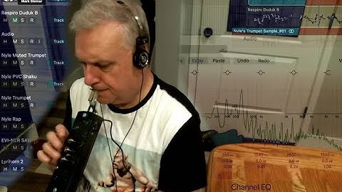 Mark Steiner - Time Travel Wind Synth Sound Collection (incl. the Nyle Steiner Historical Patches)