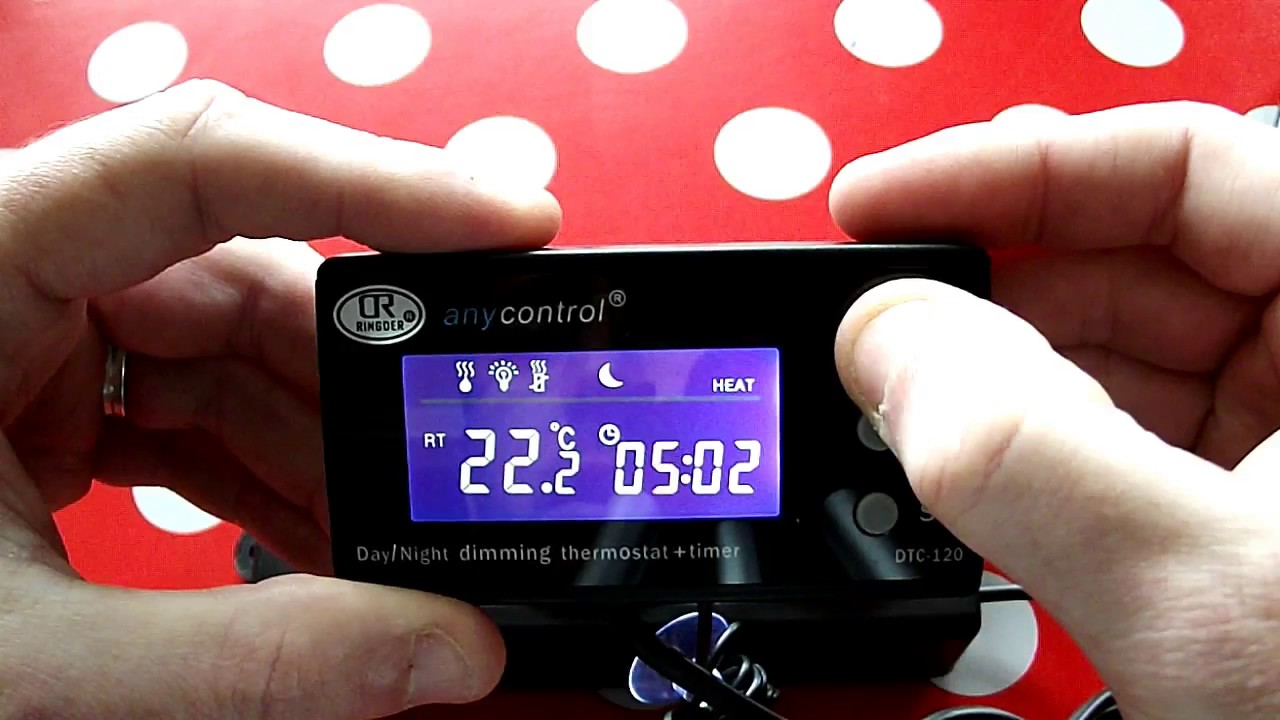 any control reptile thermostat